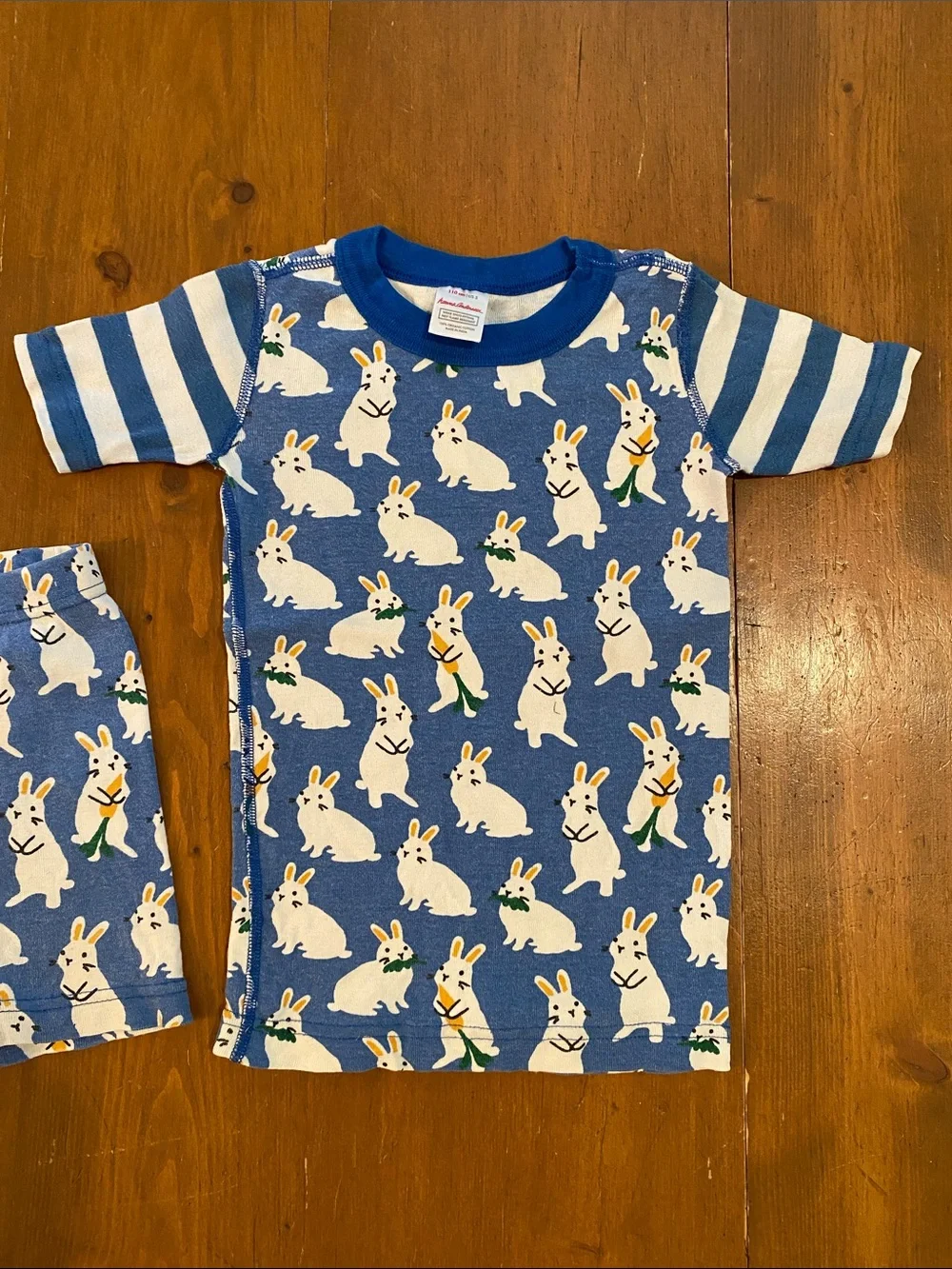 Hanna Andersson pajama set